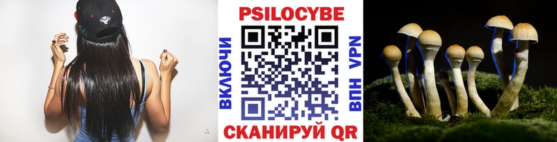 Купить  Калязин  Галлюциногенные грибы Psilocybe 